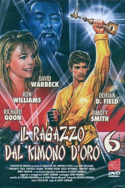 Karate Warrior 6 (1993) poster