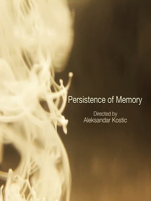 Persistence of Memory (2012) poster