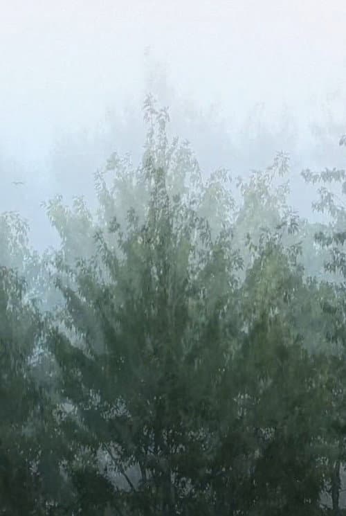 Vent (2019) poster
