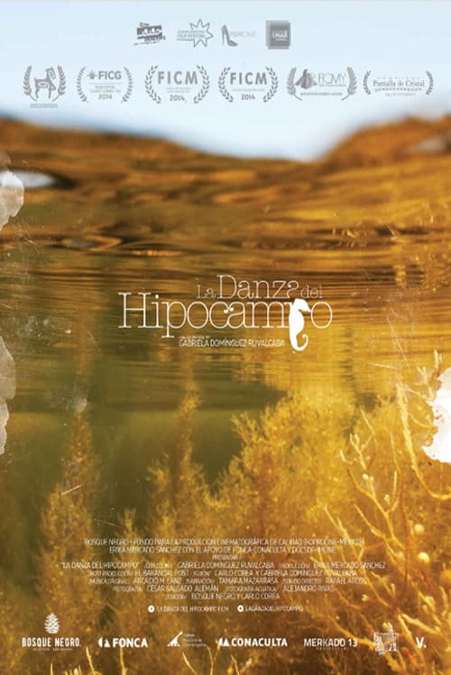 La danza del hipocampo (2014) poster