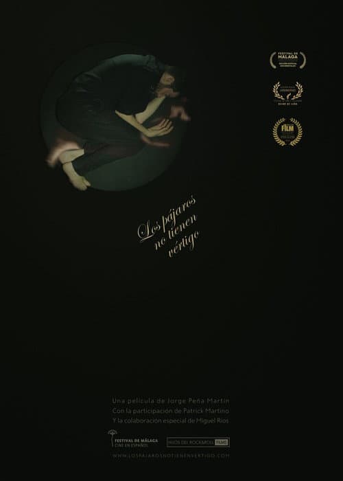 Los pájaros no tienen vértigo (2017) poster