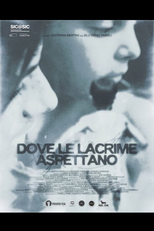 Dove le lacrime aspettano (2026) poster