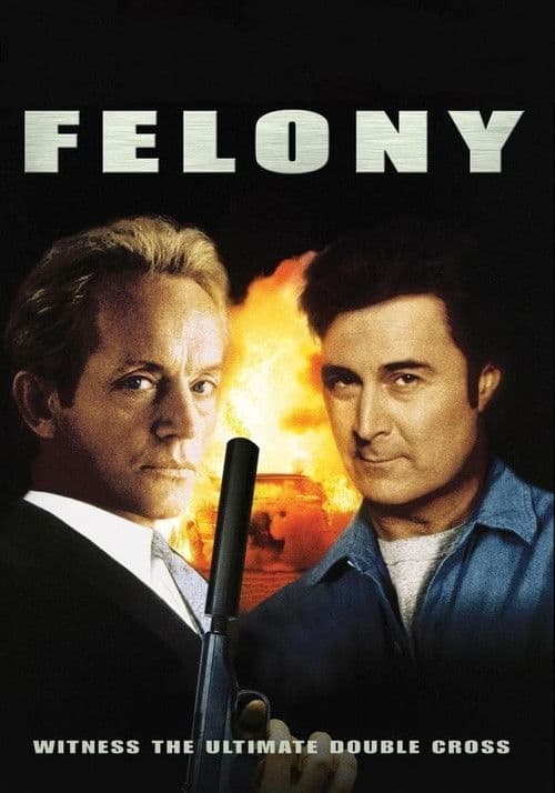 Felony (1996) poster
