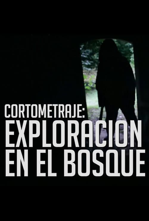 Trágica exploración en el Bosque (2017) poster
