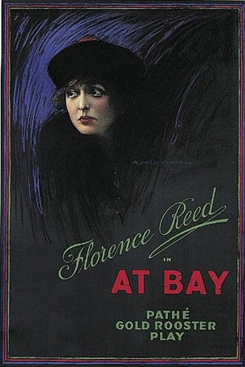 At Bay (1915) poster