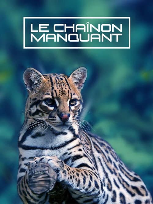 Le Chaînon Manquant (2020) poster