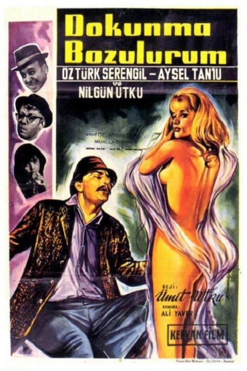 Dokunma Bozulurum (1965) poster