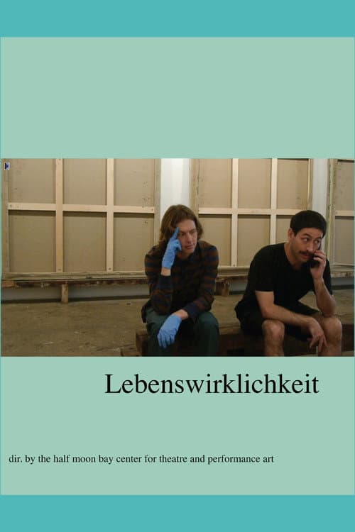 Lebenswirklichkeit (2017) poster