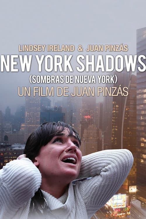 Sombras de Nueva York (2013) poster
