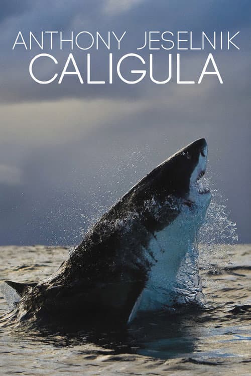 Anthony Jeselnik: Caligula (2013) poster