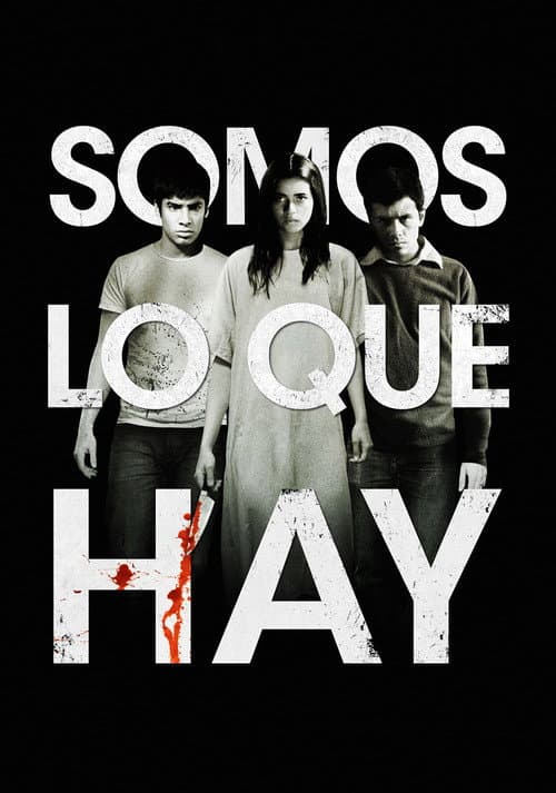 Somos lo que hay (2010) poster