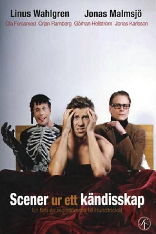 Scener ur ett kändisskap (2009) poster