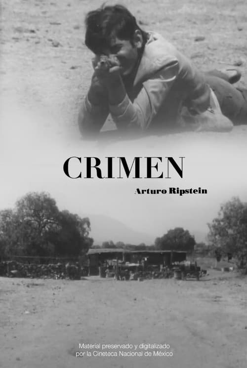 Crimen (1970) poster