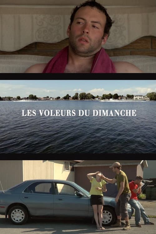 Les voleurs du dimanche (2012) poster