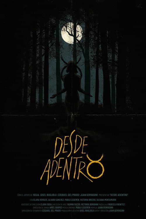Desde Adentro (2017) poster