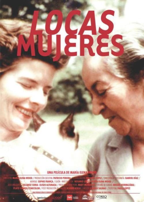 Locas mujeres (2011) poster