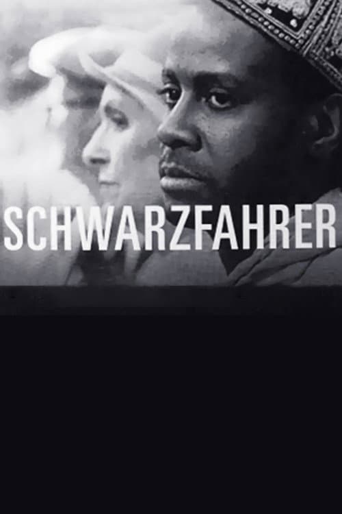 Schwarzfahrer (1993) poster