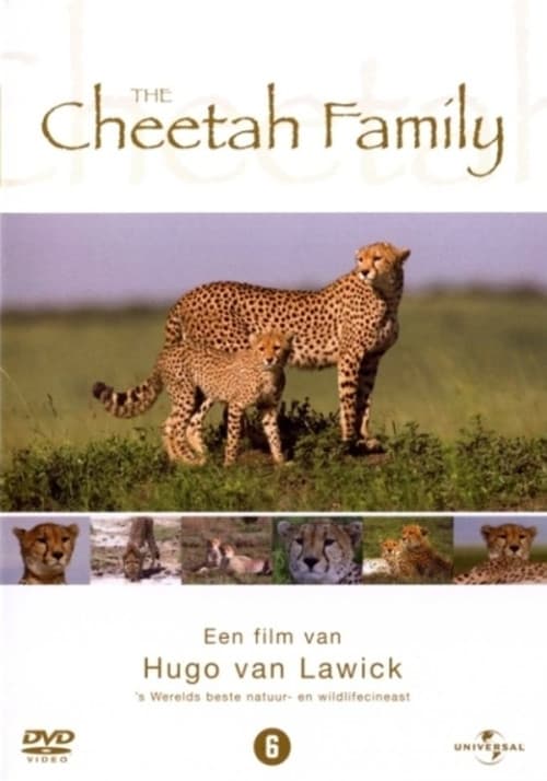 The Cheetah Family (1999) poster