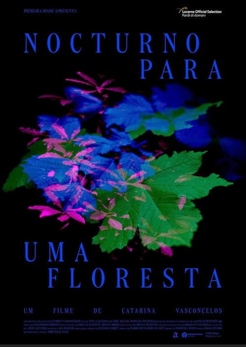 Nocturno Para Uma Floresta (2023) poster