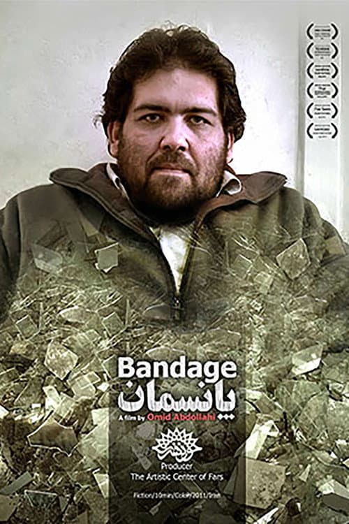 Pansman (2011) poster