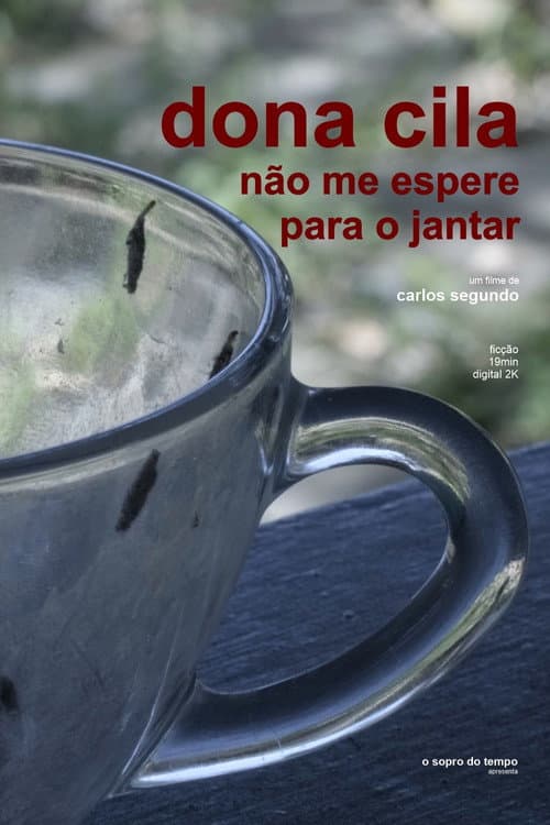 Dona Cila, Não Me Espere Para Jantar (2020) poster