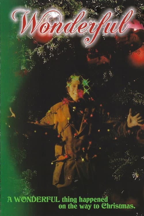 Wonderful (2008) poster