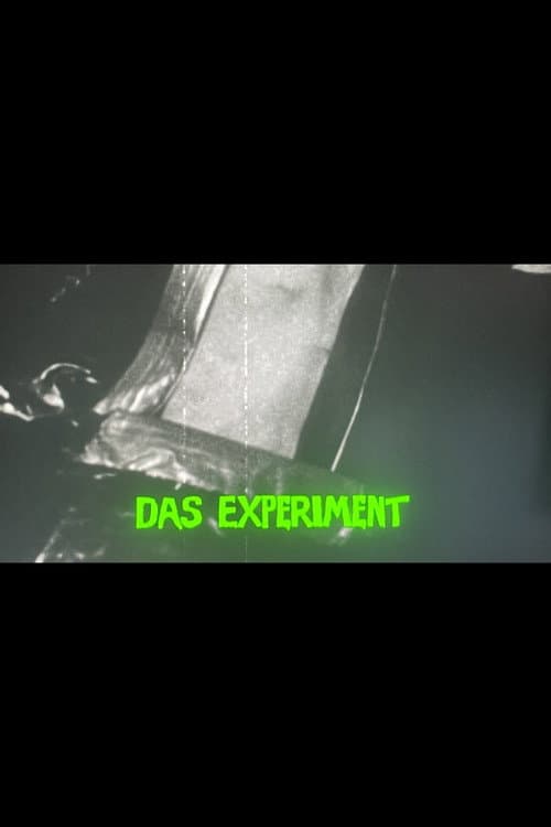 Das Experiment (2011) poster