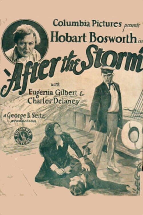 After the Storm (1928) poster
