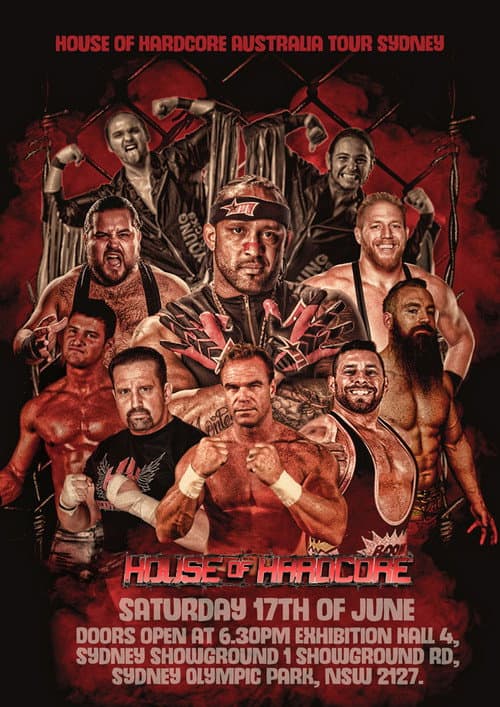 HOUSE OF HARDCORE 28 (2017) poster