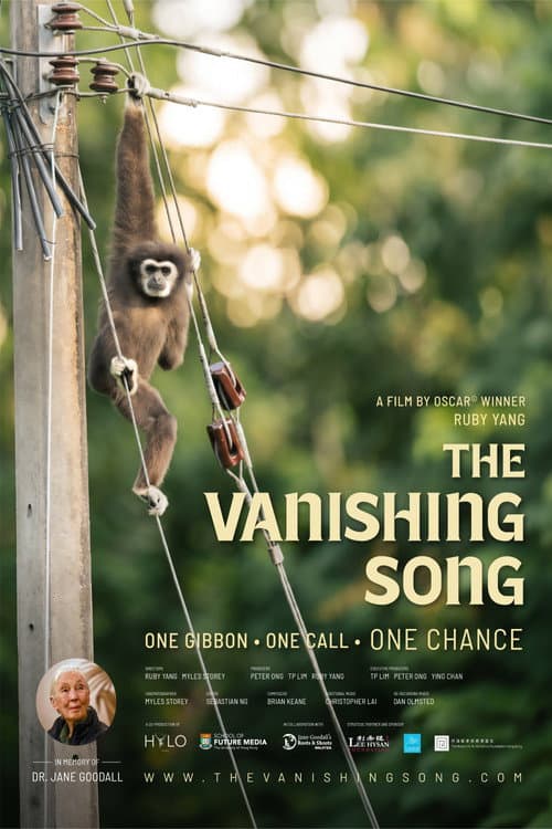 The Vanishing Song (2026) poster