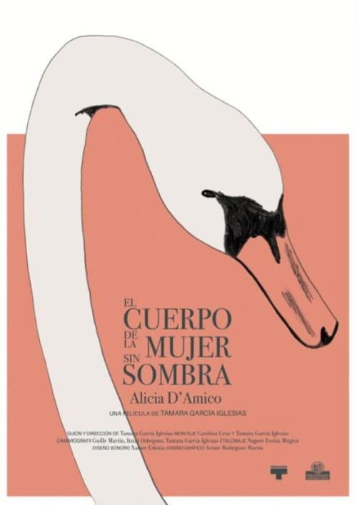 El cuerpo de la mujer sin sombra (2021) poster