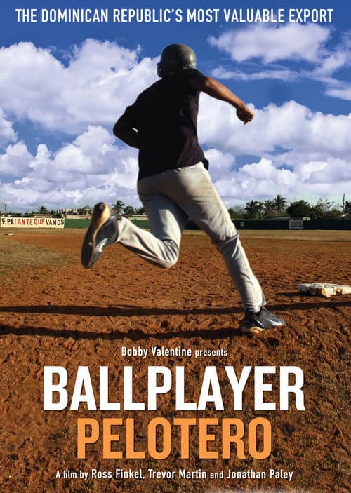 Pelotero (2011) poster