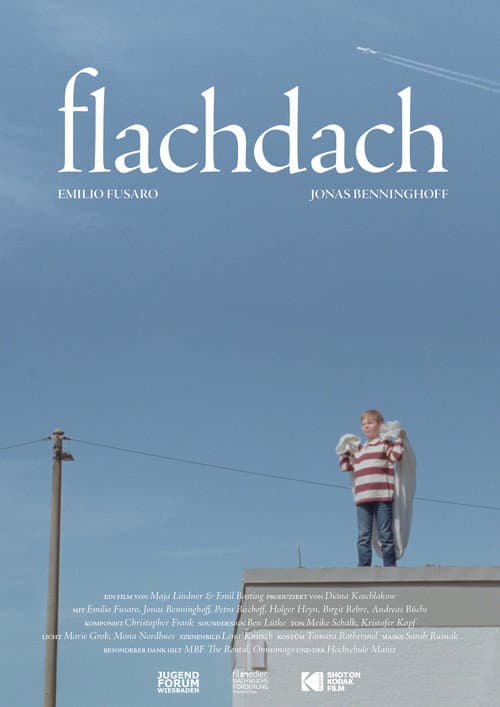 Flachdach (2026) poster