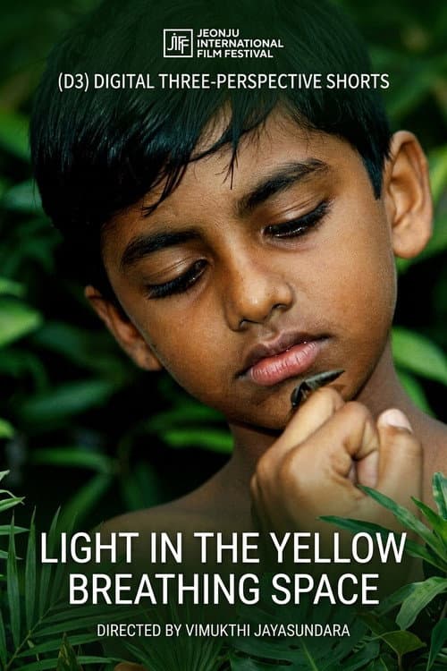 Light in the Yellow Breathing Space (2012) poster