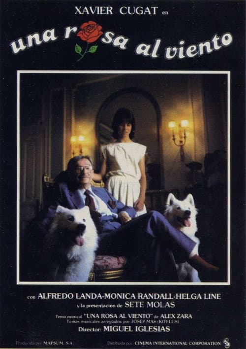 Una rosa al viento (1984) poster