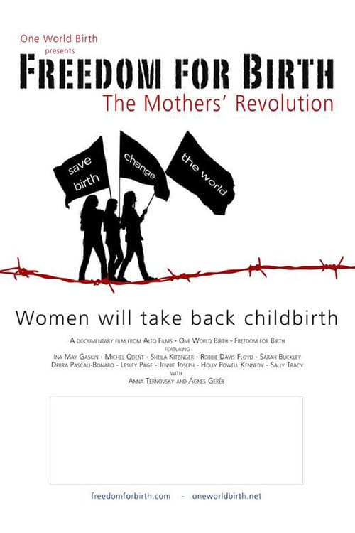 Freedom For Birth (2012) poster