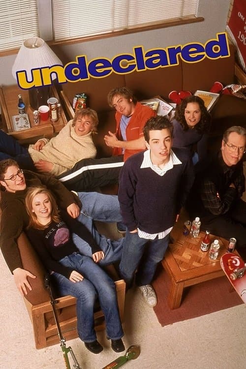 Undeclared (2001) poster