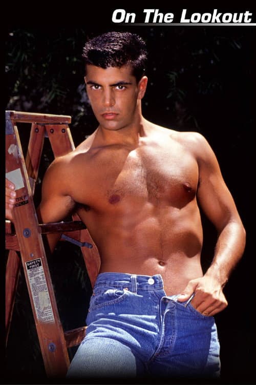 On the Lookout (1991) poster