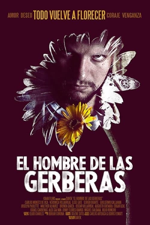El hombre de las gerberas (2013) poster