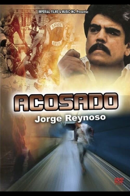 Acosado (1991) poster