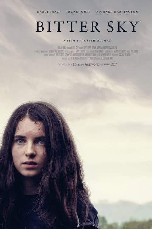Bitter Sky (2019) poster
