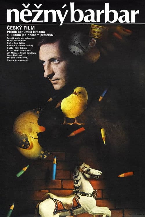 Něžný barbar (1990) poster