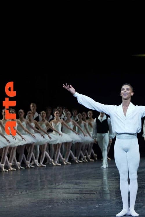 Être noir à l'Opéra (2024) poster