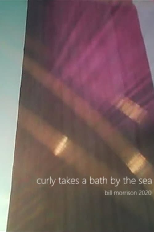 Curly Takes a Bath by the Sea (2020) poster