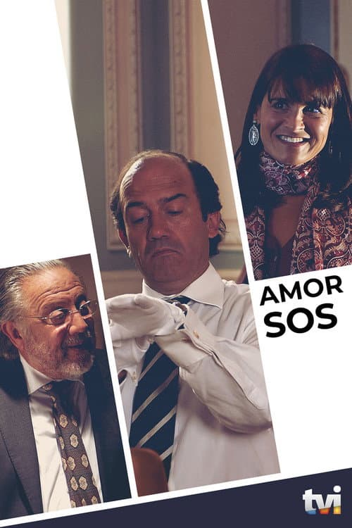 Amor SOS (2011) poster