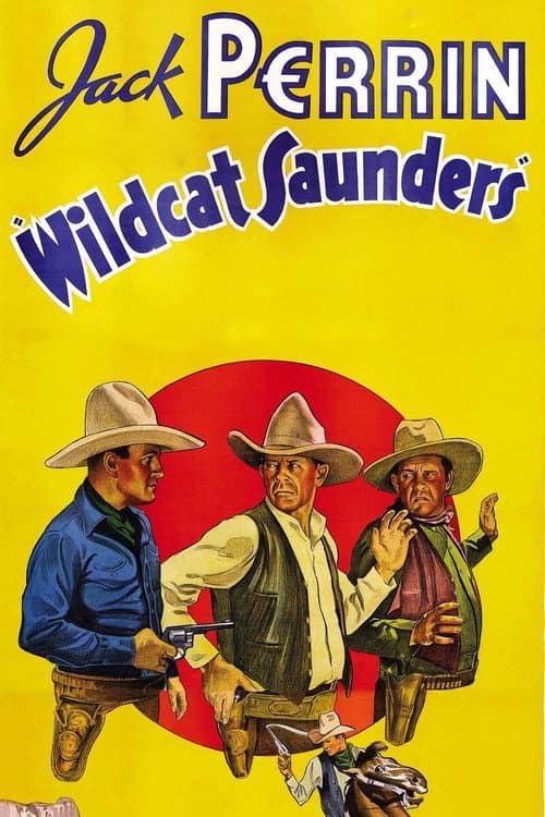 Wildcat Saunders (1936) poster