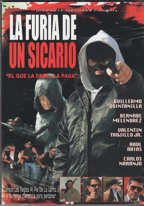 La furia de un sicario (2012) poster
