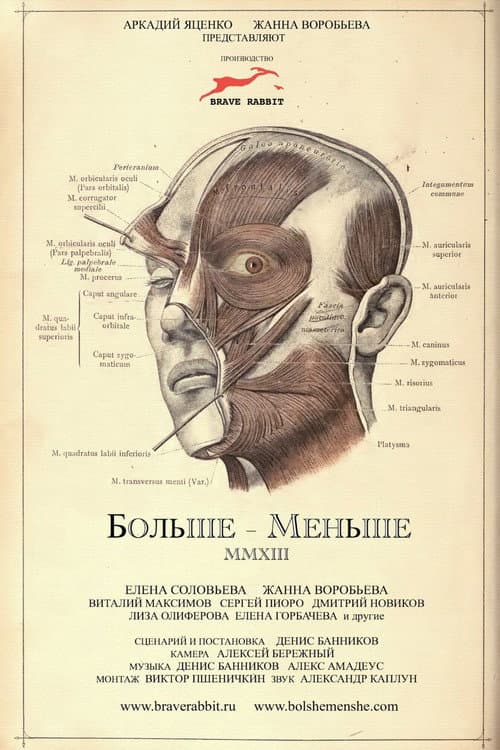 Больше - Меньше (2013) poster