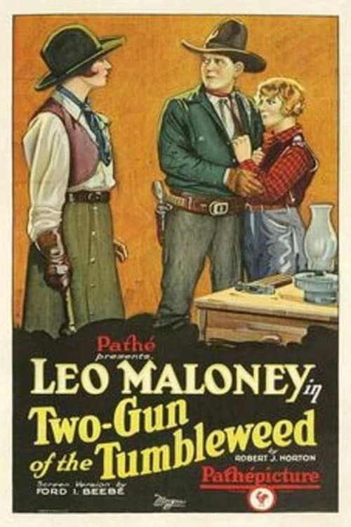 Two-Gun of the Tumbleweed (1927) poster