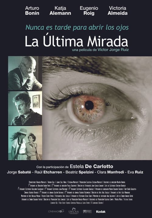 La última mirada (2011) poster